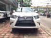 Lexus GX 460 Luxury 2017 - Cần bán Lexus GX 460 nhập khẩu chính hãng, màu trắng SX 2017. 1 chủ từ đầu. Vay bank 2 tỷ 8. LH 093.798.2266