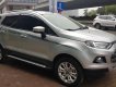 Ford EcoSport Titanium 2014 - Cần bán gấp Ford EcoSport Titanium đời 2014, màu bạc