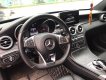 Mercedes-Benz C250 AMG 2014 - Bán xe Mercedes C250 AMG 2014, màu đen