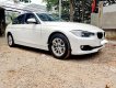 BMW 3 Series 320i 2012 - Bán BMW 3 Series 320i đời 2012, màu trắng, nhập khẩu