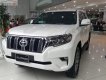 Toyota Land Cruiser VX 2.7L Prado  2019 - Bán Land Cruiser Prado 2019 mới 100% nhập khẩu nguyên chiếc Nhật Bản