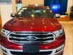 Ford Everest   2.0 Bi Turbo 2019 - Bán Ford Everest 2.0 Bi Turbo 2019 máy mới, option miên man