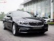 BMW 5 Series 530i 2019 - Bán BMW 530i All New G30, màu đen, nội thất đen, nhập khẩu, xe giao ngay với đầy đủ hồ sơ