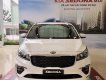 Kia Sedona Platinum D 2019 - Cần bán Kia Sedona Platinum D năm sản xuất 2019, màu trắng