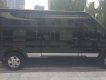 Ford Transit Dcar 10 chỗ Limoszin 2018 - Ford Transit Dcar Limousine 10 chỗ, màu đen sản xuất 2018 chạy lướt