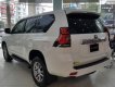 Toyota Land Cruiser VX 2.7L Prado  2019 - Bán Land Cruiser Prado 2019 mới 100% nhập khẩu nguyên chiếc Nhật Bản