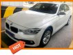 BMW 3 Series 320i 2015 - Bán BMW 3 Series 320i SX 2015, đi 30000km, còn rất mới