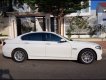 BMW 5 Series 520i  2014 - Bán xe BMW 520i đời 2015