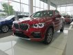 BMW X4 xDrive20i 2018 - Bán BMW X4 xDrive20i 2018, màu đỏ, nhập khẩu nguyên chiếc