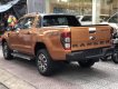 Ford Ranger  Wildtrak 2019 - Bán Ford Ranger Wildtrak sản xuất năm 2019, nhập khẩu giá cạnh tranh