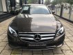 Mercedes-Benz E class E250  2017 - Chuyên Mercedes E250 chưa lăn bánh chính hãng