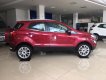 Ford EcoSport 2019 - Bán xe Ford Ecosport 2019 mới giá tốt, liên hệ 0865660630