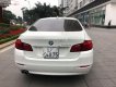 BMW 5 Series 520i 2014 - Cần bán BMW 520i sản xuất 2014 màu trắng kem cửa hít, biển TP, xe 1 chủ từ đầu nên rất giữ gìn