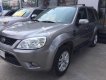 Ford Escape XLT 2013 - Bán ô tô Ford Escape XLT sản xuất năm 2013, màu xám, xe cá nhân sử dụng kỹ ít trầy xước