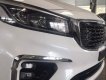 Kia Sedona   Platinum D  2019 - Bán xe Kia Sedona Platinum D sản xuất năm 2019, màu trắng