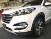 Hyundai Santa Fe 2019 - Bán Hyundai Santa Fe đời 2019, mới màu trắng