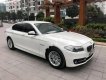 BMW 5 Series 520i 2014 - Cần bán BMW 520i sản xuất 2014 màu trắng kem cửa hít, biển TP, xe 1 chủ từ đầu nên rất giữ gìn