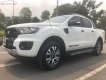 Ford Ranger   Wildtrak 2.0L BiTurbo AT 4x4 2018 - Bán Ford Ranger Wildtrak 2.0L BiTurbo AT 4x4 năm sản xuất 2018, tiết kiệm nhiên liệu và mạnh mẽ nhất phân khúc