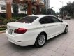 BMW 5 Series 520i 2014 - Cần bán BMW 520i sản xuất 2014 màu trắng kem cửa hít, biển TP, xe 1 chủ từ đầu nên rất giữ gìn