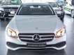 Mercedes-Benz E class E250 2016 - Bán xe Mercedes đời 2016, màu bạc, xe mới 90%, đi được 7000km