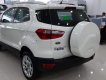 Ford EcoSport Trend AT 2019 - Bán xe Ford EcoSport Trend AT năm sản xuất 2019, màu trắng, giao ngay, nhiều khuyến mãi hấp dẫn