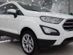 Ford EcoSport Trend AT 2019 - Bán xe Ford EcoSport Trend AT năm sản xuất 2019, màu trắng, giao ngay, nhiều khuyến mãi hấp dẫn