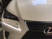 Lexus NX NX300 2018 - Bán Lexus NX 300 sản xuất 2018 xe mới đi 1.600km, cam kết chất lượng bao kiểm tra tại hãng