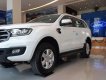 Ford Everest   2019 - Bán Ford Everest 2019, màu trắng, nhập khẩu