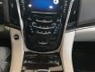 Cadillac Escalade   2015 - Cần bán gấp Cadillac Escalade đời 2015, đăng ký lần đầu 2017