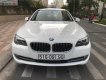 BMW 5 Series 523i 2010 - Bán xe BMW 523i 2010, màu trắng, nhập khẩu  