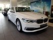 BMW 5 Series 2018 - Bán ô tô BMW 5 Series đời 2019, màu trắng, nhập khẩu nguyên chiếc