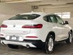 BMW X4 2018 - Bán BMW X4 đời 2019, màu trắng, nhập khẩu