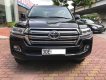 Toyota Land Cruiser VX 2016 - Bán Toyota Land Cruiser VX sản xuất 2016, đăng ký 2016 tên cty màu đen, nội thất kem