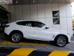 BMW X4 xDrive20i 2018 - Bán xe BMW X4 xDrive20i sản xuất năm 2018, màu trắng, nhập khẩu, mới 100%