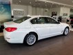 BMW 5 Series 530i Luxury Line 2018 - Bán BMW 5 Series 530i Luxury Line 2018, màu trắng, nhập khẩu, mới 100%