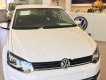 Volkswagen Polo 1.6 AT 2018 - Cần bán Volkswagen Polo 1.6 AT 2018, màu trắng, nhập khẩu, giá tốt