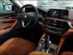 BMW 5 Series 530i Luxury 2018 - Bán xe BMW 5 Series 530i Luxury sản xuất 2018, màu đen 