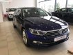 Volkswagen Passat 1.8 Bluemotion 2018 - Cần bán xe Volkswagen Passat 1.8 Bluemotion sản xuất 2018, màu xanh lam, nhập khẩu