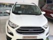 Ford EcoSport 1.5L Titanium 2020 - Em gái bán xe Ford EcoSport Titanium 2020 chương trình ưu đãi nhất