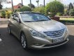 Hyundai Sonata 2.0 AT 2010 - Bán Hyundai Sonata 2.0 AT đời 2010, xe nhập chính chủ, giá chỉ 550 triệu