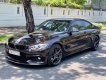 BMW 4 Series 420i Coupe Sport 2016 - Bán ô tô BMW 420 Series coupe năm 2016, màu nâu nhập khẩu nguyên chiếc