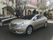 Hyundai Sonata 2.0 AT 2010 - Bán Hyundai Sonata 2.0 AT đời 2010, xe nhập chính chủ, giá chỉ 550 triệu