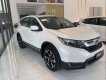 Honda CR V 2019 - Bán Honda CR V năm 2019, màu trắng, xe nhập