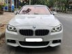 BMW 5 Series 528i 2010 - Bán BMW 5 Series 528i đời 2010, màu trắng, nhập khẩu nguyên chiếc, 980tr