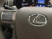 Lexus GX 460 2010 - Xe Lexus GX 460 năm 2010, màu bạc, xe nhập đã đi 72000 km