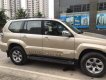 Toyota Prado   2007 - Bán xe Toyota Prado 2007, màu vàng, xe nhập ít sử dụng