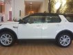 LandRover Discovery Sport HSE 2018 - Bán Discovery Sport HSE - Chương trình tháng 4 với ưu đãi lớn 200 triệu đồng