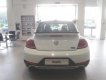 Volkswagen Beetle 2018 - Xe hơi thể thao Volkswagen - Beetle