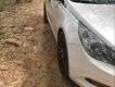 Hyundai Sonata 2010 - Cần bán gấp Hyundai Sonata năm sản xuất 2010, màu trắng, xe nhập