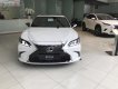 Lexus ES 250 2019 - Bán ô tô Lexus ES 250 đời 2019, màu trắng, nhập khẩu